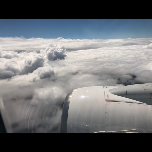 Meet your Posher, Tasha - Picture 1 of 1